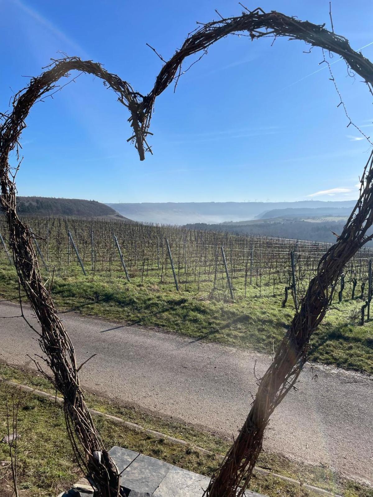 Fewo Waldblick - Urlaub Im Wein & Ferienort Bekond Экстерьер фото